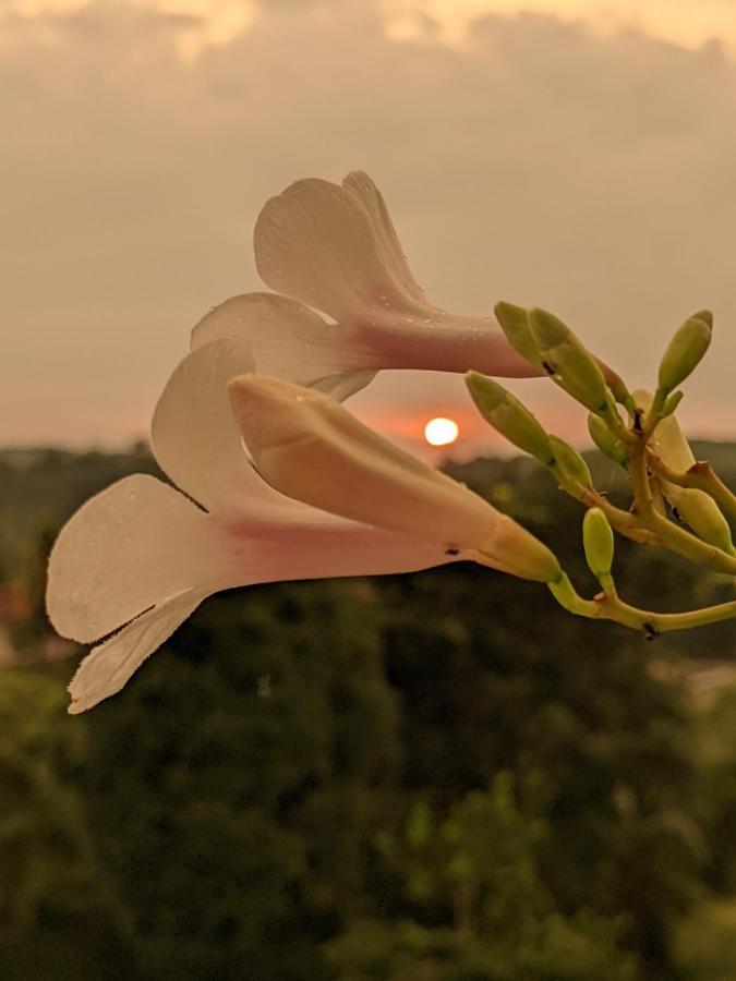 Namal Stay เวลิกามา ภายนอก รูปภาพ