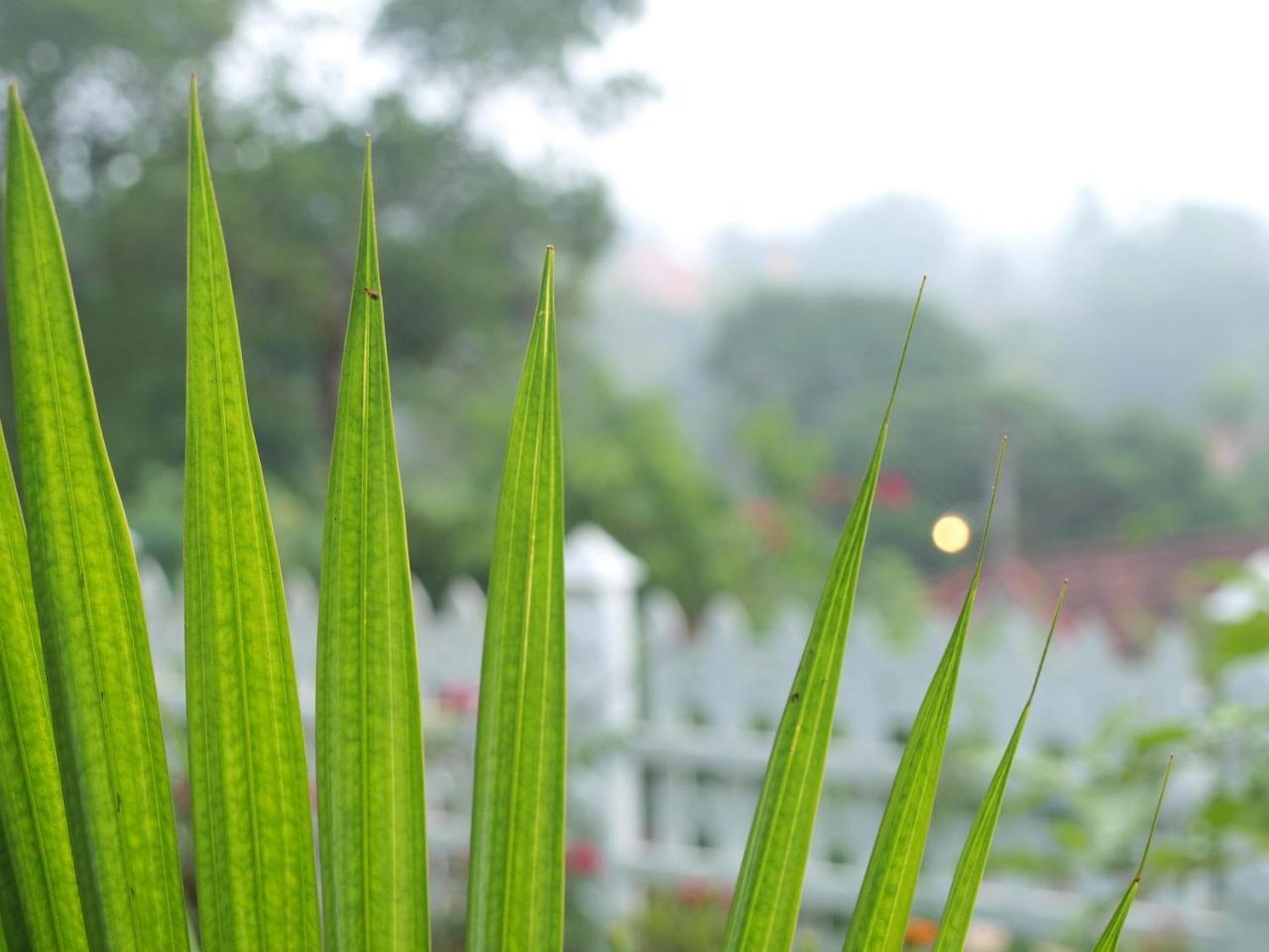 Namal Stay เวลิกามา ภายนอก รูปภาพ