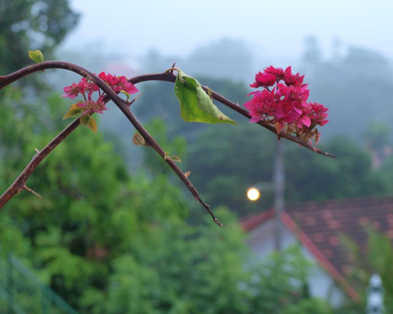 Namal Stay เวลิกามา ภายนอก รูปภาพ